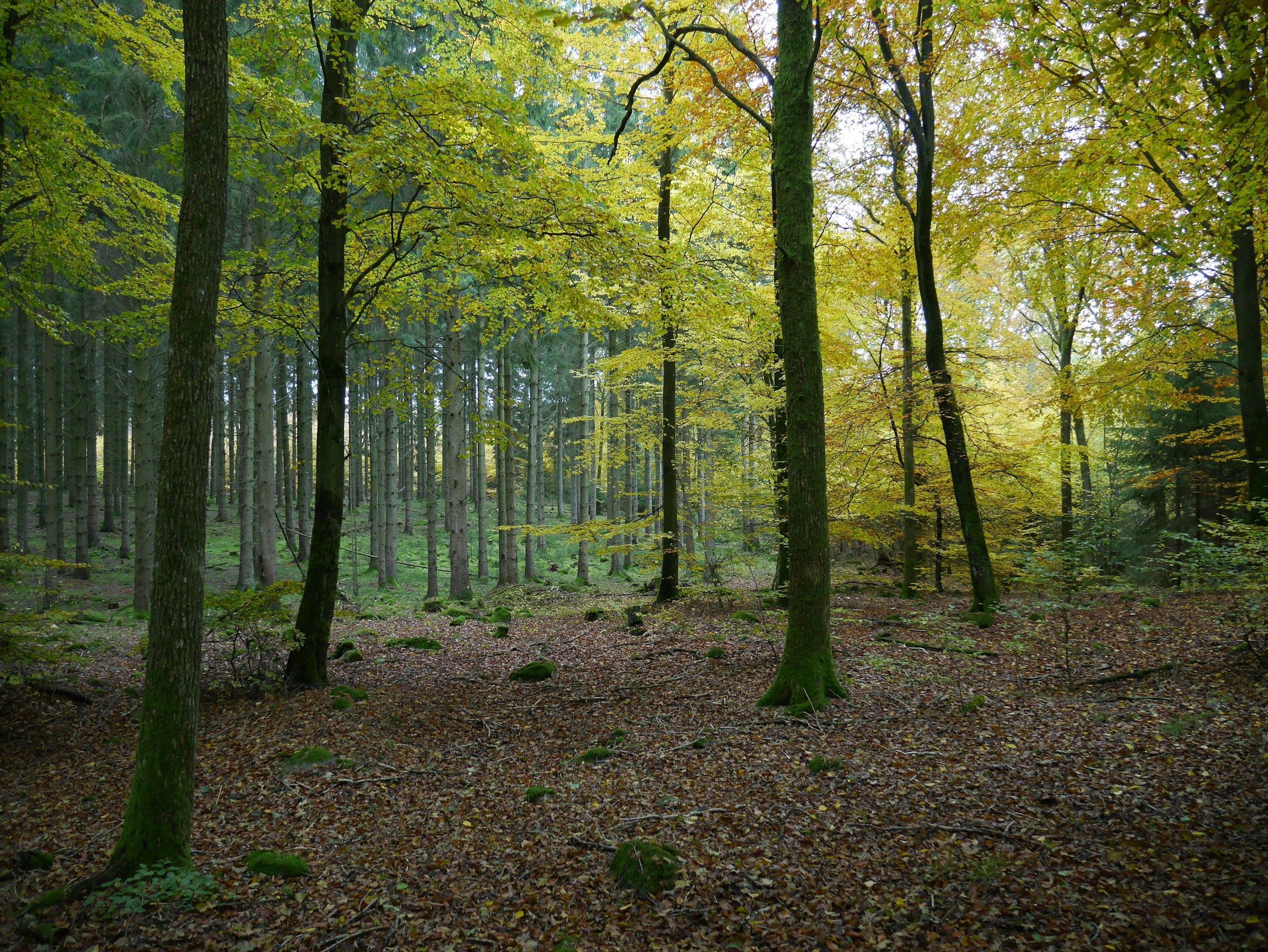 Climate and sustainability background