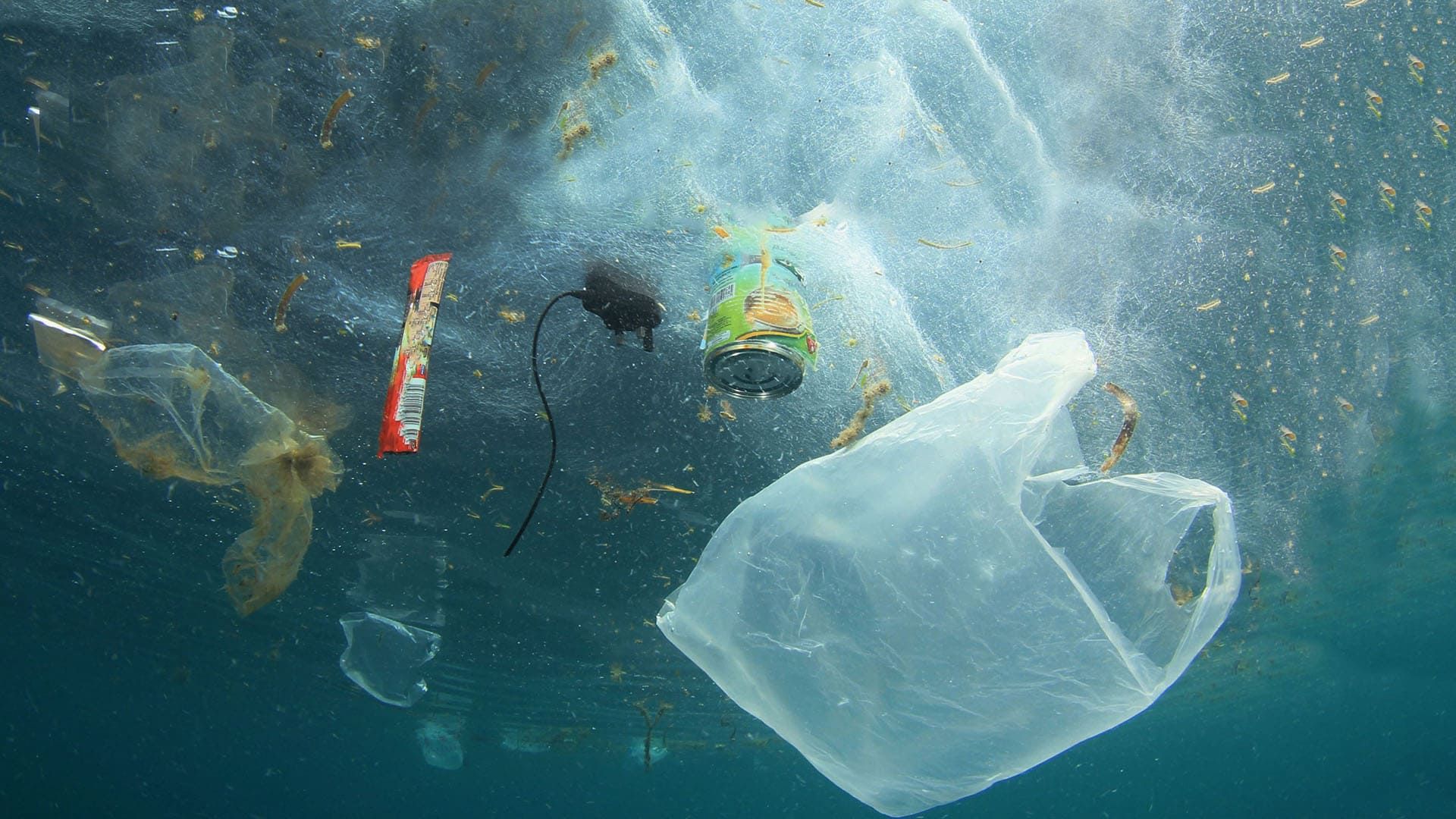 Bild 1 för Operation Rena Botten