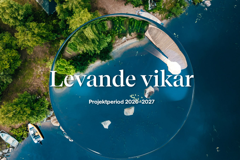 Levande vikar