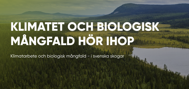 Bild 2 för Bevara äldre svenska skogar