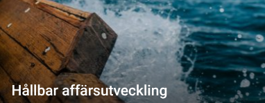 Demo bild 2 för Sustema AB