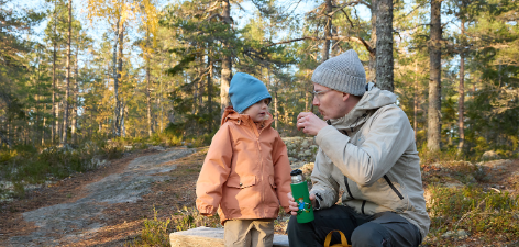Bild 3 för Bevara äldre svenska skogar