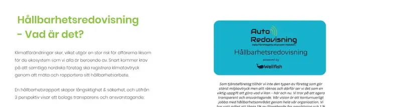 Auto Redovisning