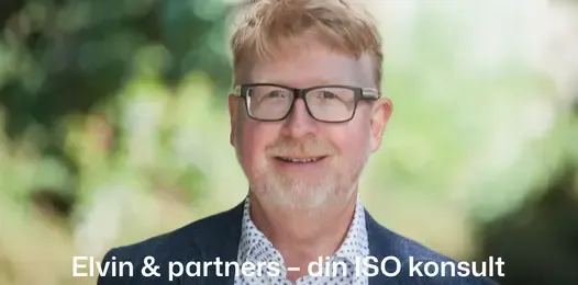 Elvin & partners
