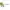 Plantmore logo