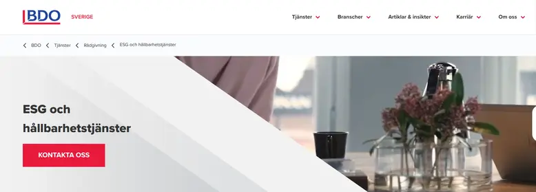 Skärmdump av BDO Sveriges webbplats