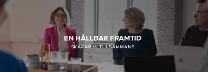 Skärmdump av Envima ABs webbplats