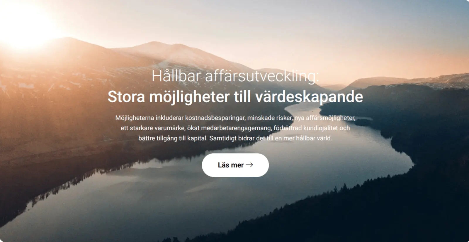 Skärmdump av Goodpoint ABs webbplats