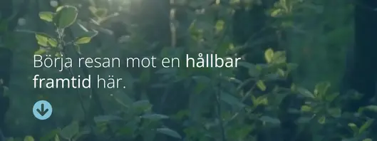 Skärmdump av Impact Finder ABs webbplats