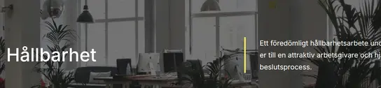 Skärmdump av AVA Corporate Communicationss webbplats