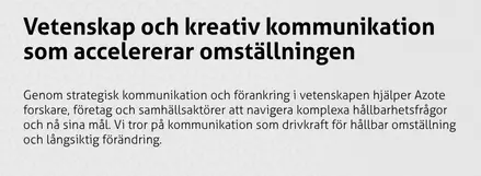 Skärmdump av Azotes webbplats
