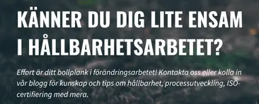 Skärmdump av Effort Consulting ABs webbplats