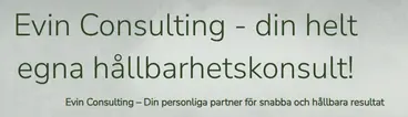 Skärmdump av Evin Consultings webbplats