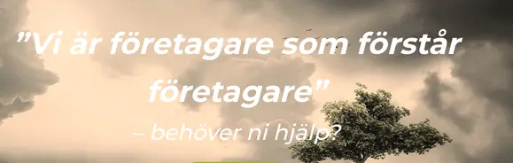 Skärmdump av HG Konsulternas webbplats