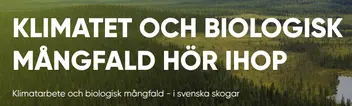 Skärmdump av FightCoTwos webbplats