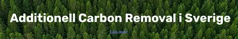 Skärmdump av The Forest Solutions webbplats