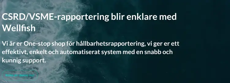 Skärmdump av Wellfish ABs webbplats